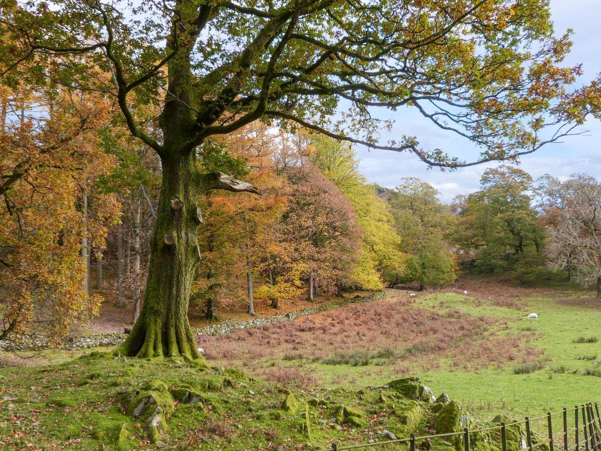 Cherry - Woodland Cottages Bowness-on-Windermere Kültér fotó